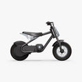 rio electric dirt bike facing right