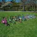 the collection of JLR X colors side by side on a patch of grass at a park