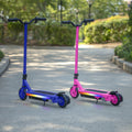 blue and pink echo x electric scooters with the kickstands down in a park